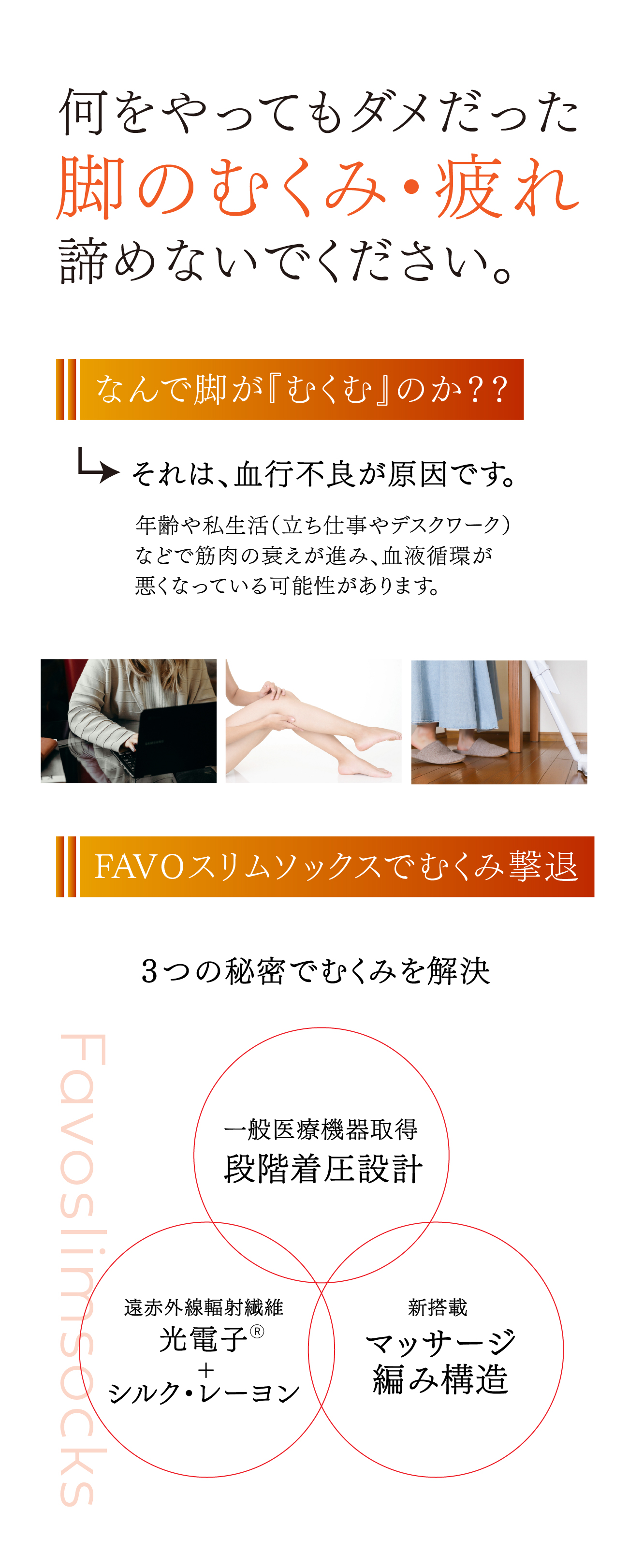 安井友梨　ファボリンク　スリムソックス 楽天市場】FAVOスリムソックス 2足セット｜安井友梨監修｜一般