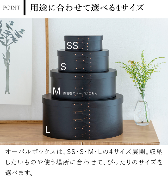 AXCIS（アクシス） ＼10/4・5はポイント10倍／ シェーカーボックス M