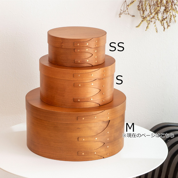 AXCIS（アクシス） ＼2/5はポイント10倍／ シェーカーボックス AXCIS