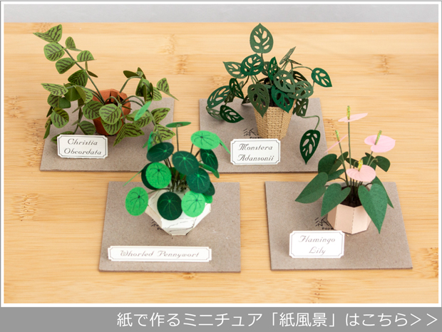 紙風景 植物