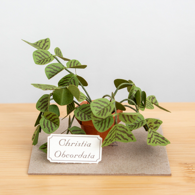 ペーパークラフト キット コウモリソウ ミニチュア 紙製 植物 紙風景 紙の風景 Christia Obcordata Jeantopia ジントピア
