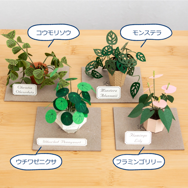 ペーパークラフト アクリルケース セット モンステラ アダンソニー ミニチュア 紙製 植物 紙風景 紙の風景 Jeantopia ジントピア