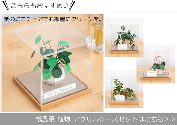 紙風景 植物 アクリルケースセット