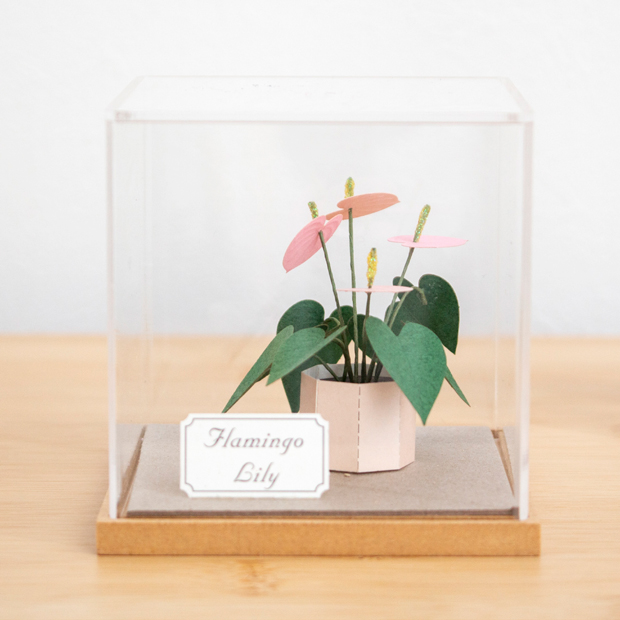 ペーパークラフト アクリルケース セット フラミンゴリリー ミニチュア 紙製 植物 紙風景 紙の風景 Jeantopia ジントピア
