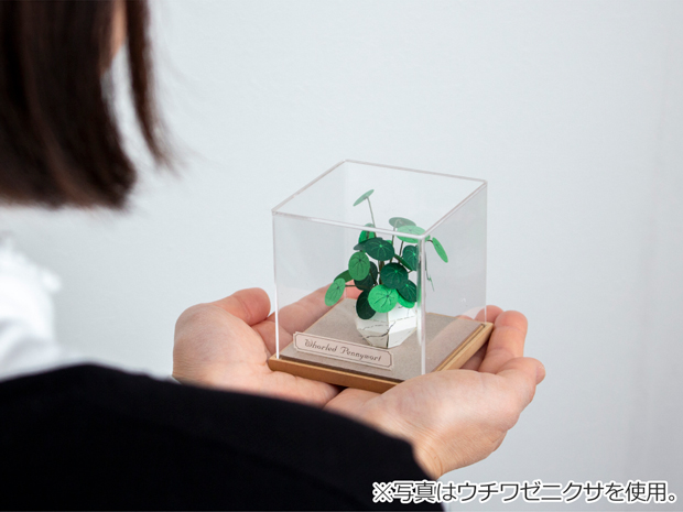 ペーパークラフト アクリルケース セット フラミンゴリリー ミニチュア 紙製 植物 紙風景 紙の風景 Jeantopia ジントピア
