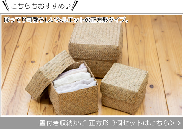 6/11はポイント10倍／ 蓋付き 収納かご S 正方形 幅16cm バスケット 深
