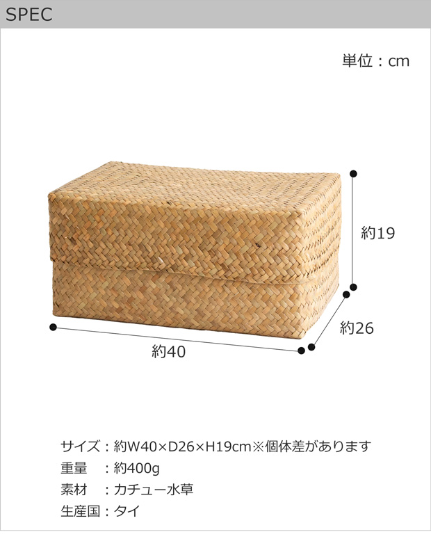 6/25はポイント10倍／ 蓋付き 収納かご L 幅40cm 長方形 ふた