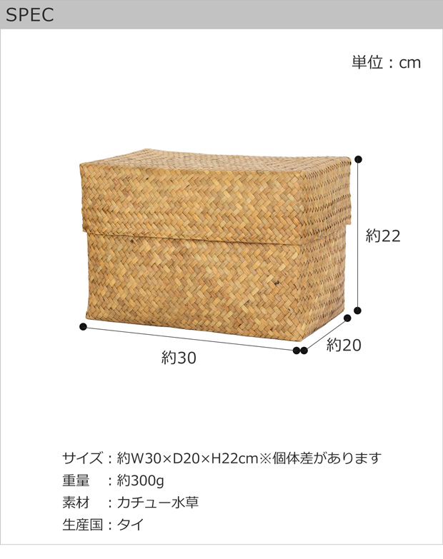 蓋付き 収納かご L 長方形 幅30cm バスケット 深型 サイアム カチュー
