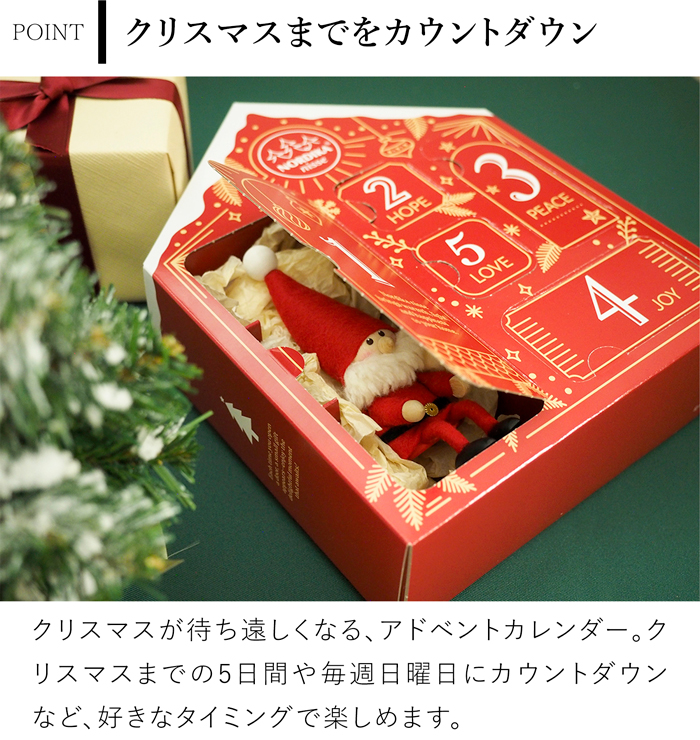 Oasis アドベントカレンダー 輸入品 【未使用】 🎄 2024年 Asana コミュニティアドベントカレンダー開催のお知らせ