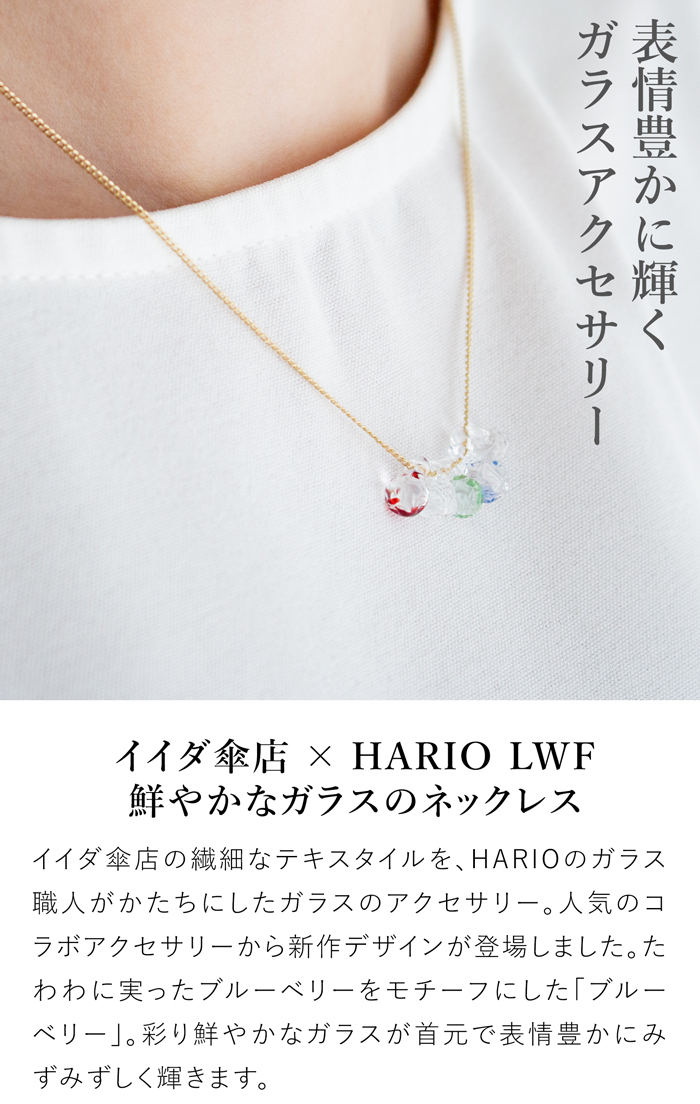 HARIO Lampwork Factory（ハリオランプワークファクトリー） [ポイント