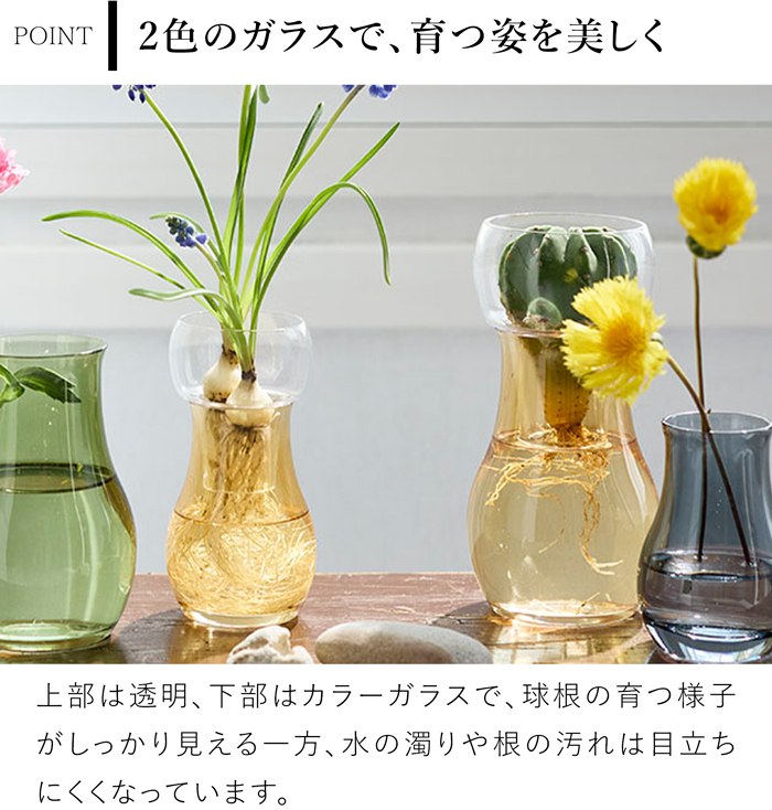 Clay（クレイ） ＼5/22-25はポイント10倍／ 水耕栽培 ガラス ベース