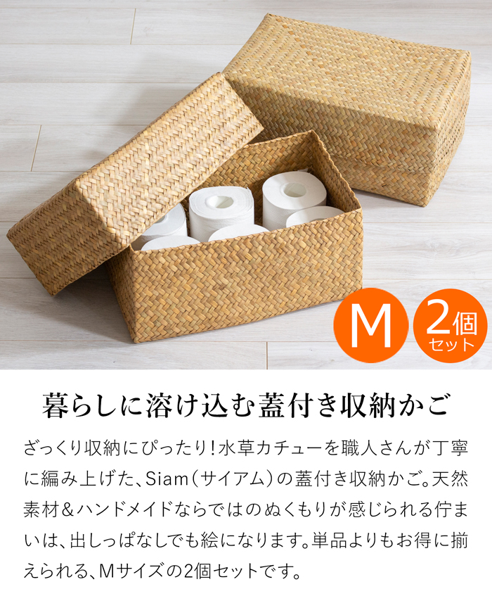 期間限定ポイント10倍／ 蓋付き 収納かご M 2個セット 幅36cm 長方形