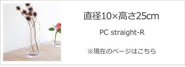 直径10cm×高さ25cm