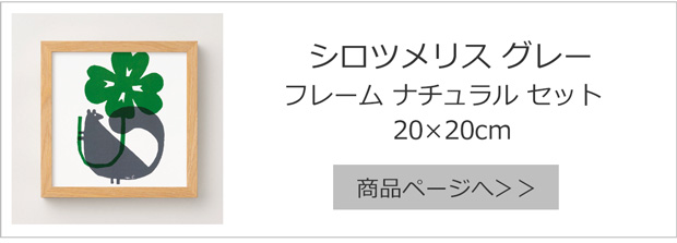 シロツメリス