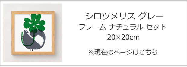 シロツメリス