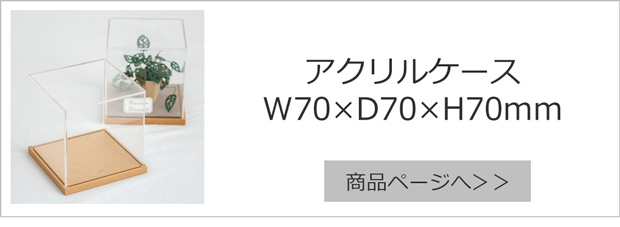 W70×D70×H70mm