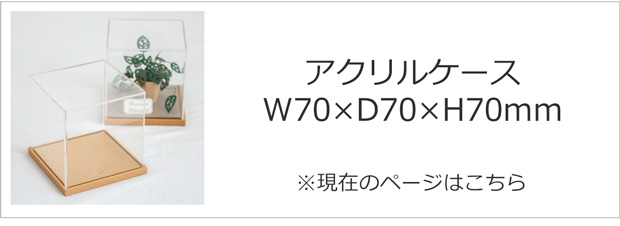 W70×D70×H70mm