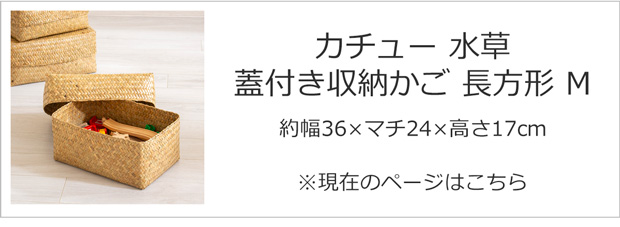 3/5はポイント10倍／ 蓋付き 収納かご M 幅36cm 長方形 ふた付き四角