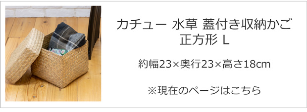 6/5-7はポイント10倍／ 蓋付き 収納かご L 正方形 幅23cm バスケット