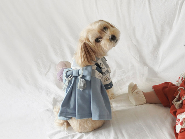 mocmof pet モクモフ ペット 犬用袴 622-650007(犬 和装 着物 袴 小型