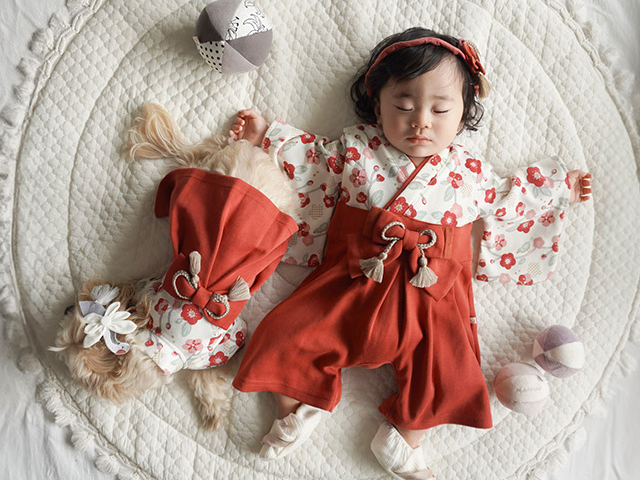 mocmof pet モクモフ ペット 犬用袴 622-650007(犬 和装 着物 袴 小型