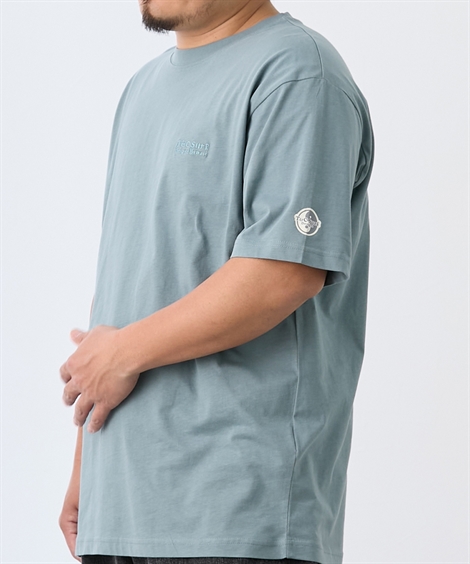 タウン&カントリー Tシャツ 半袖 綿100％ ワンポイント 半袖T