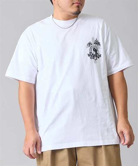 タウン&カントリー Tシャツ 半袖 綿100％ バックプリント 半袖Tシャツ