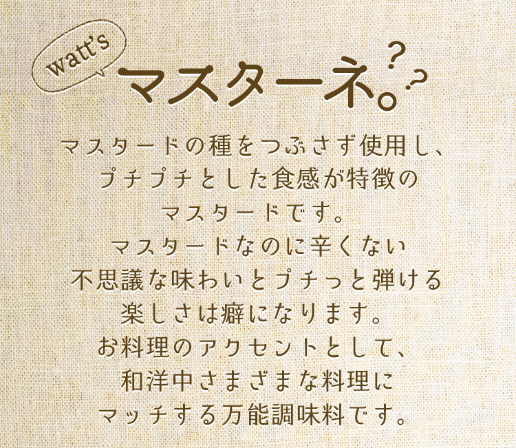 調味料 マスターネ マスタード マスタードシード ソース ドレッシング 香辛料