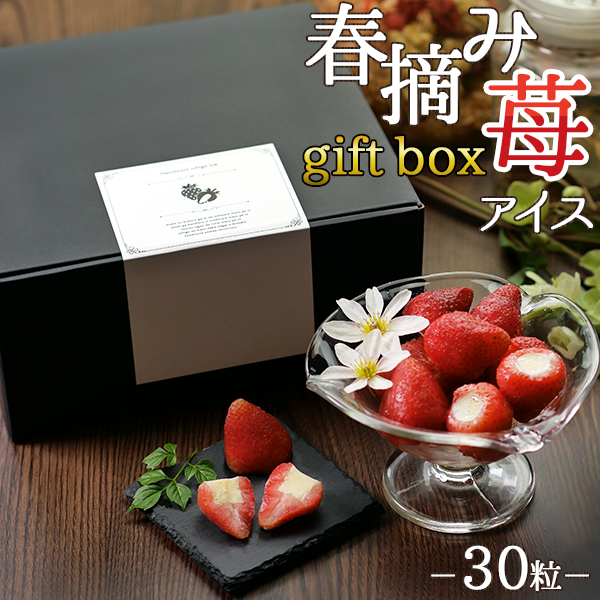 夏の爆買WEEK 2025 アイスクリーム 爆買 ギフト 詰め合わせ 送料
