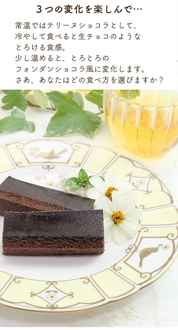 お歳暮 御歳暮 ギフト のし 2022 スイーツ プレゼント 送料無料 お菓子 食べ物 チョコレートケーキ ガトーショコラ  :cgy00006-1:フードセレクト FBクリエイト - 通販 - Yahoo!ショッピング