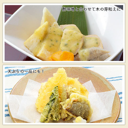 ふくなお Shinart やわらかたけのこやん 業務用 介護食 やわらか食 筍 山菜 食材 家庭用 シナート |  | 03