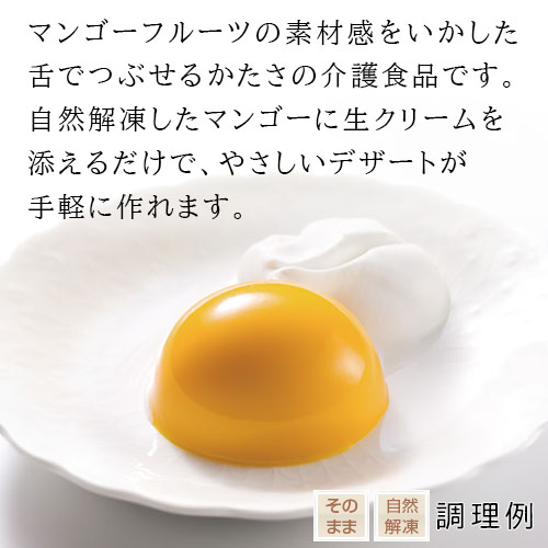 やさしい素材 マンゴー 390g 業務用 家庭用 |  | 02