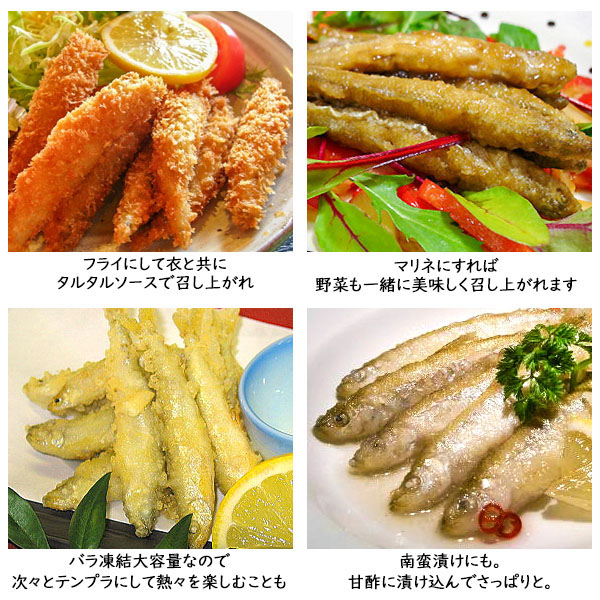 冷凍 わかさぎ バラ凍結 業務用 1kg ワカサギ
