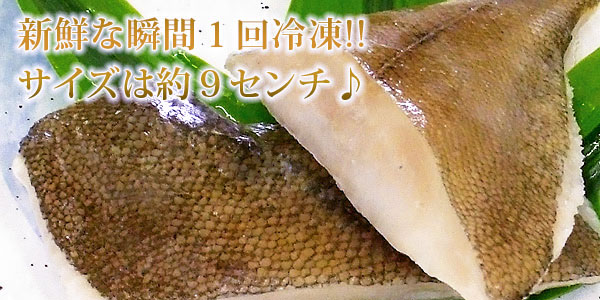 冷凍食品 お弁当 食品 食材 おかず 惣菜 簡単 業務用 家庭用 骨なしカレイ 切り身 （60gかれい 鰈切り身・5切れ） |  | 02