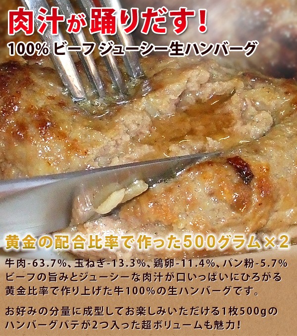 冷凍食品 お弁当 食品 食材 おかず 惣菜 簡単 業務用 家庭用 ハンバーグ 国産 牛生ハンバーグ 500g 2個 :i04029-c:フードセレクト  FBクリエイト - 通販 - Yahoo!ショッピング