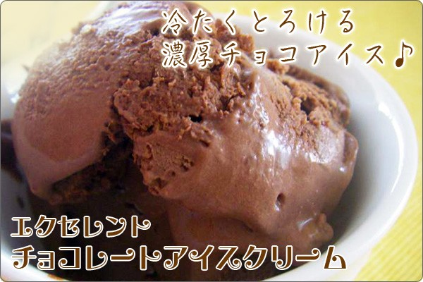 お取り寄せ ネットスーパー FBクリエイト 【業務用 2L】 チョコレートアイスクリーム エクセレント
