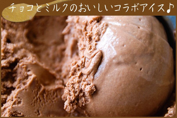 業務用 チョコレートアイスクリーム