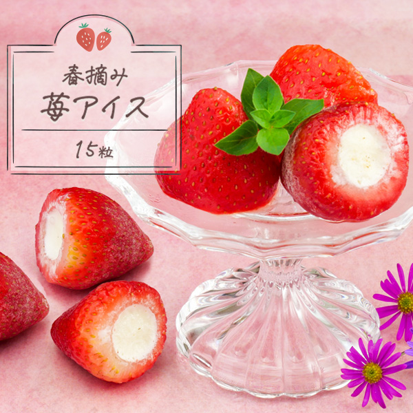 御歳暮 ギフト 2025 プレゼント 苺スイーツ 送料無料 春摘み苺アイス 15粒 いちごアイス アイス プレゼント クリスマス |  | 10
