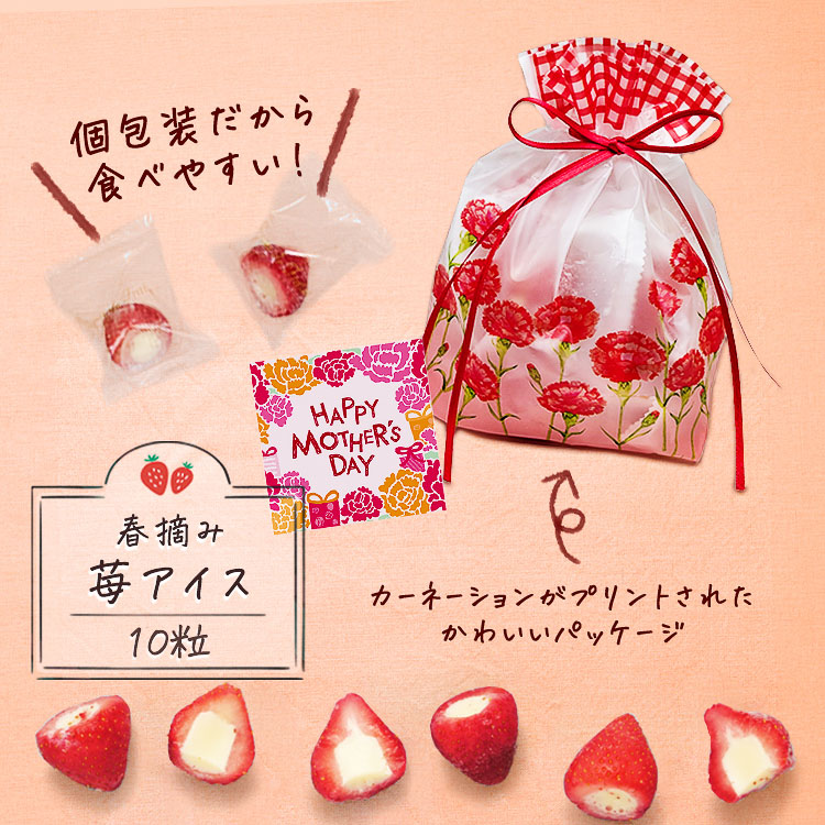 母の日 ギフト 2026 スイーツ お菓子 花 プレゼント いちご アイス 春摘み苺 10粒 ギフトセット 個包装 冷凍スイーツ 練乳アイス 個包装 贈答用 いちごアイス |  | 02