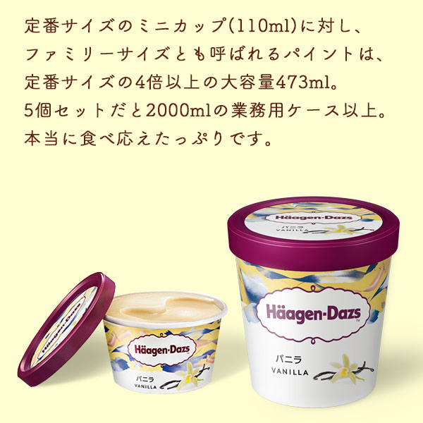 スイーツ ギフト アイスクリーム ファミリーサイズ ハーゲンダッツ パイント 473ml バニラ 5個 セット 送料無料 プレゼント 誕生日 母の日 御祝い | ハーゲンダッツ | 03