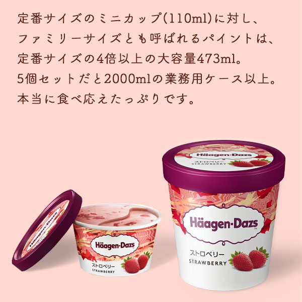 スイーツ ギフト アイスクリーム ファミリーサイズ ハーゲンダッツ パイント 473ml ストロベリー 苺 5個 セット 送料無料 プレゼント 誕生日 母の日 御祝い | ハーゲンダッツ | 03