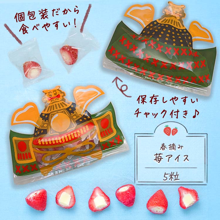 子供の日 2026 アイスクリーム ギフト 予約 子供 誕生日 いちご スイーツ お取り寄せ 冷凍 5粒 プレゼント 送料無料 |  | 01