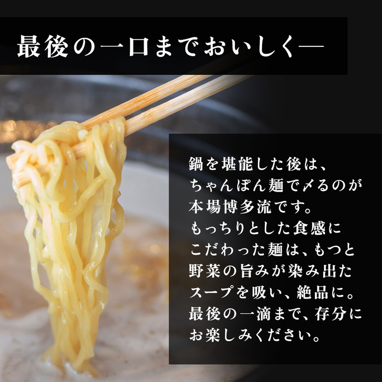 もつ鍋 モツ鍋 セット
