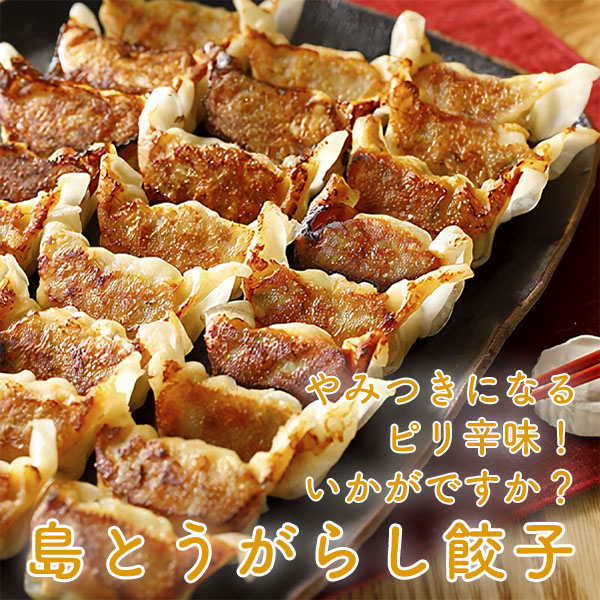 餃子 ぎょうざ 島とうがらし餃子 通販 （25個） 冷凍食品 お弁当 弁当 食品 食材 おかず 惣菜 業務用 家庭用 国産 八洋食品 |  | 02