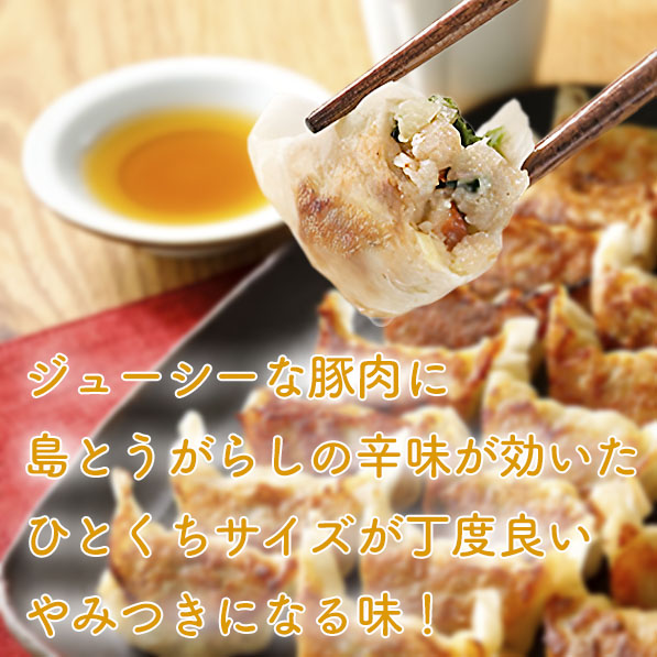 餃子 ぎょうざ 島とうがらし餃子 通販 （25個） 冷凍食品 お弁当 弁当 食品 食材 おかず 惣菜 業務用 家庭用 国産 八洋食品 |  | 03