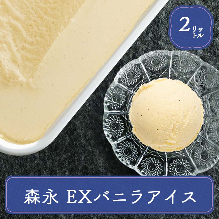アイス 業務用アイス 森永 バニラアイスクリーム 2L アイスクリーム スイーツ おやつ デザート 食後 食後のデザート 子供 居酒屋 子供会 バルクアイス | 森永乳業