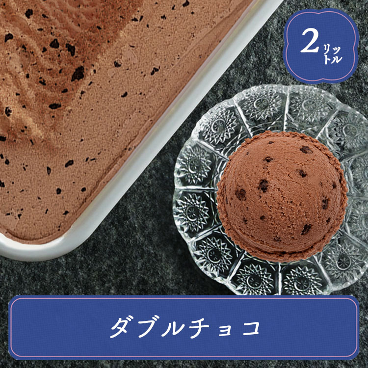 明治（meiji） 業務用アイス ダブルチョコ 2L アイス アイスアイス