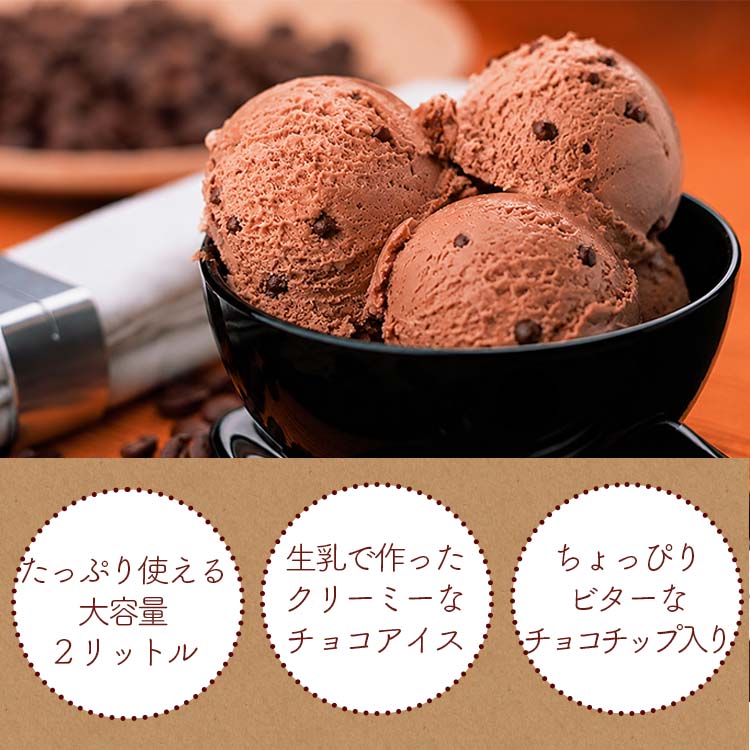 明治（meiji） 業務用アイス ダブルチョコ 2L アイス アイスアイス