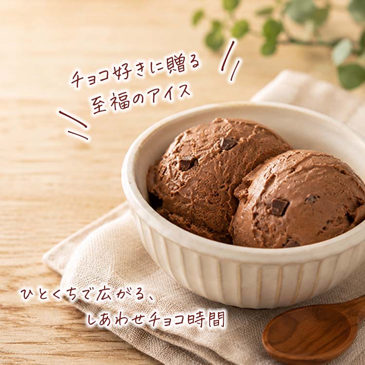 明治（meiji） 業務用アイス ダブルチョコ 2L アイス アイスアイス