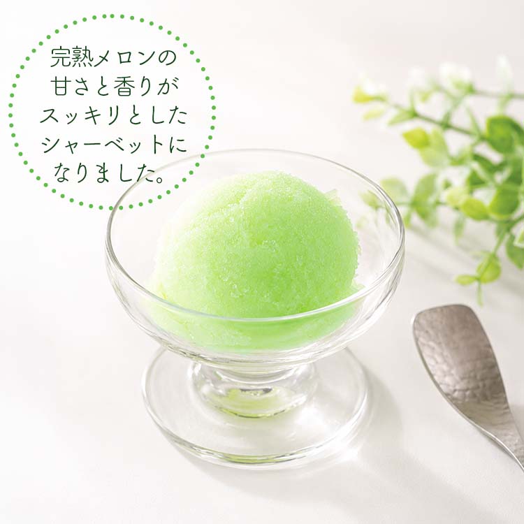 シャーベット 業務用アイス 明治 メロン すっきりメロン 2L ソルベ スイーツ おやつ デザート 食後 食後のデザート 子供 居酒屋 子供会 バルクアイス | 明治 | 02